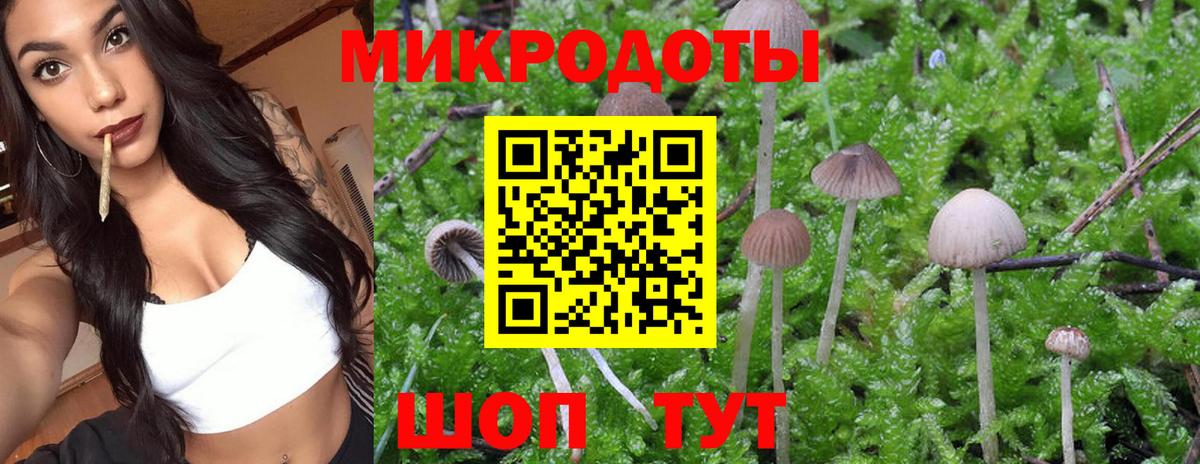 Павловский Посад  Псилоцибиновые грибы мицелий  закладка  Вход с VPN  Псилоцибиновые грибы GOLDEN TEACHER 