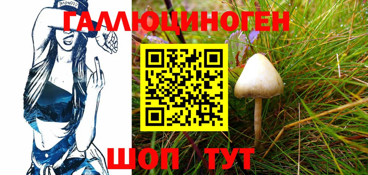 Галлюциногенные грибы Psilocybe Павловский Посад